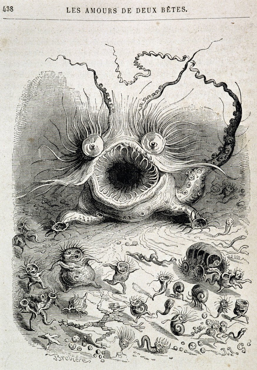 De liefdes van twee beesten (vreemd monster) - in 