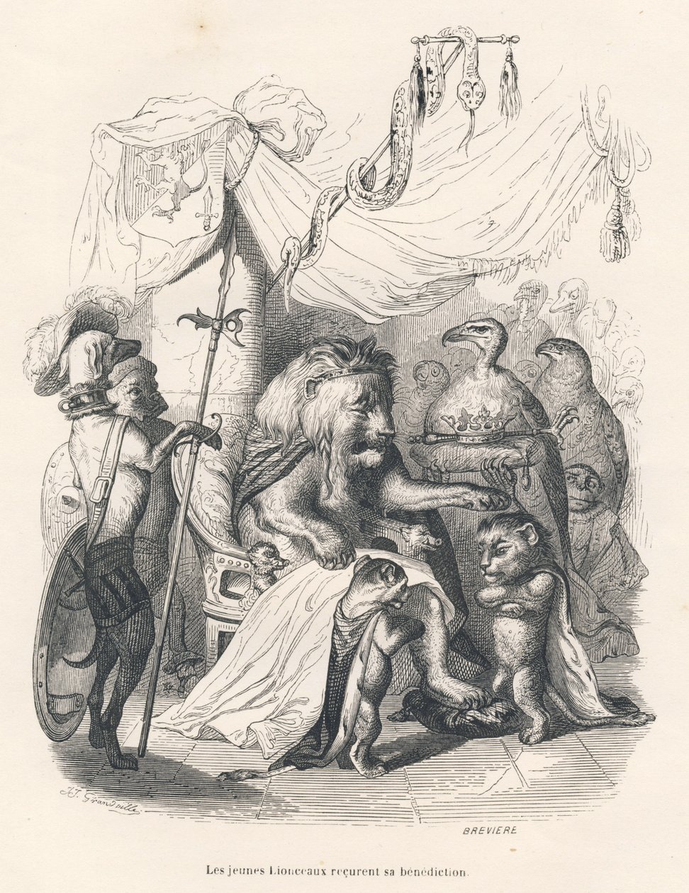 De jonge leeuwen ontvangen de zegen van de leeuwenkoning. Geïllustreerde vignetten door JJ Granville. Gravure gesigneerd door Breviere in het deel getiteld "Reis van een leeuw uit Afrika naar Parijs" geschreven door Honoré de Balzac in "Scènes uit het priv door Grandville