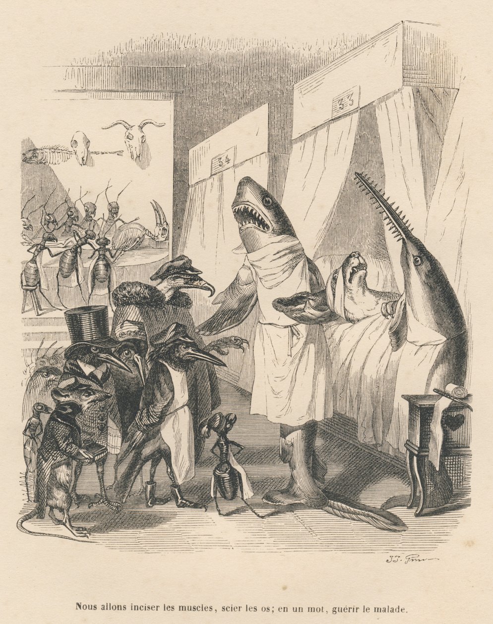 De haaienartsen leggen hun chirurgische ingreep uit. Vignetten geïllustreerd door JJ Granville. Gravure gesigneerd Godard in het deel "De dierenartsen" geschreven door Pierre Bernard in "Scènes uit het privé- en openbare leven van dieren". Parijs, J. Hetze door Grandville