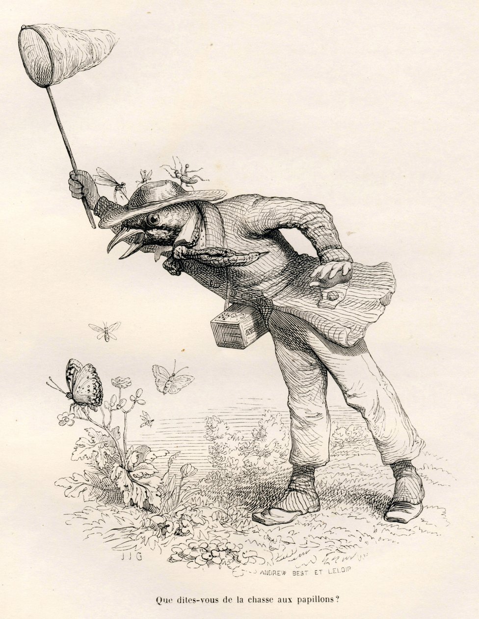 Vogel die vlinders jaagt. Vignetten geïllustreerd door JJ Granville. Gravure gesigneerd Andrew, Best en Leloir in het deel "Een vos gevangen in de val" geschreven door Charles Nodier in "Scènes uit het privé- en openbare leven van dieren". Parijs, J. Hetze door Grandville