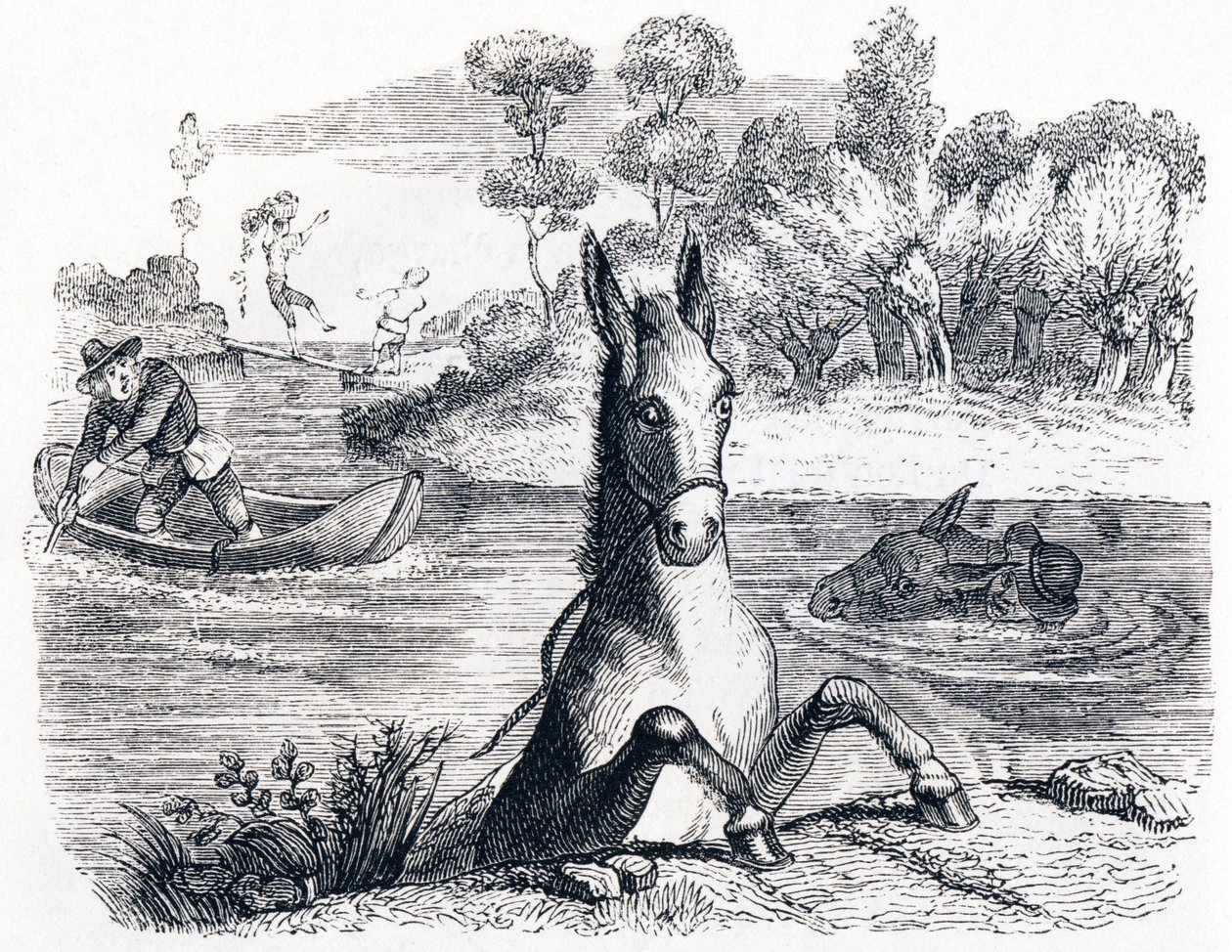 De ezel met de spons en de ezel met het zout - Fabels van La Fontaine door Grandville