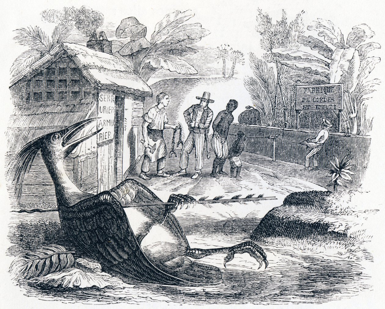 De vogel gewond door een pijl - Fabels van La Fontaine door Grandville
