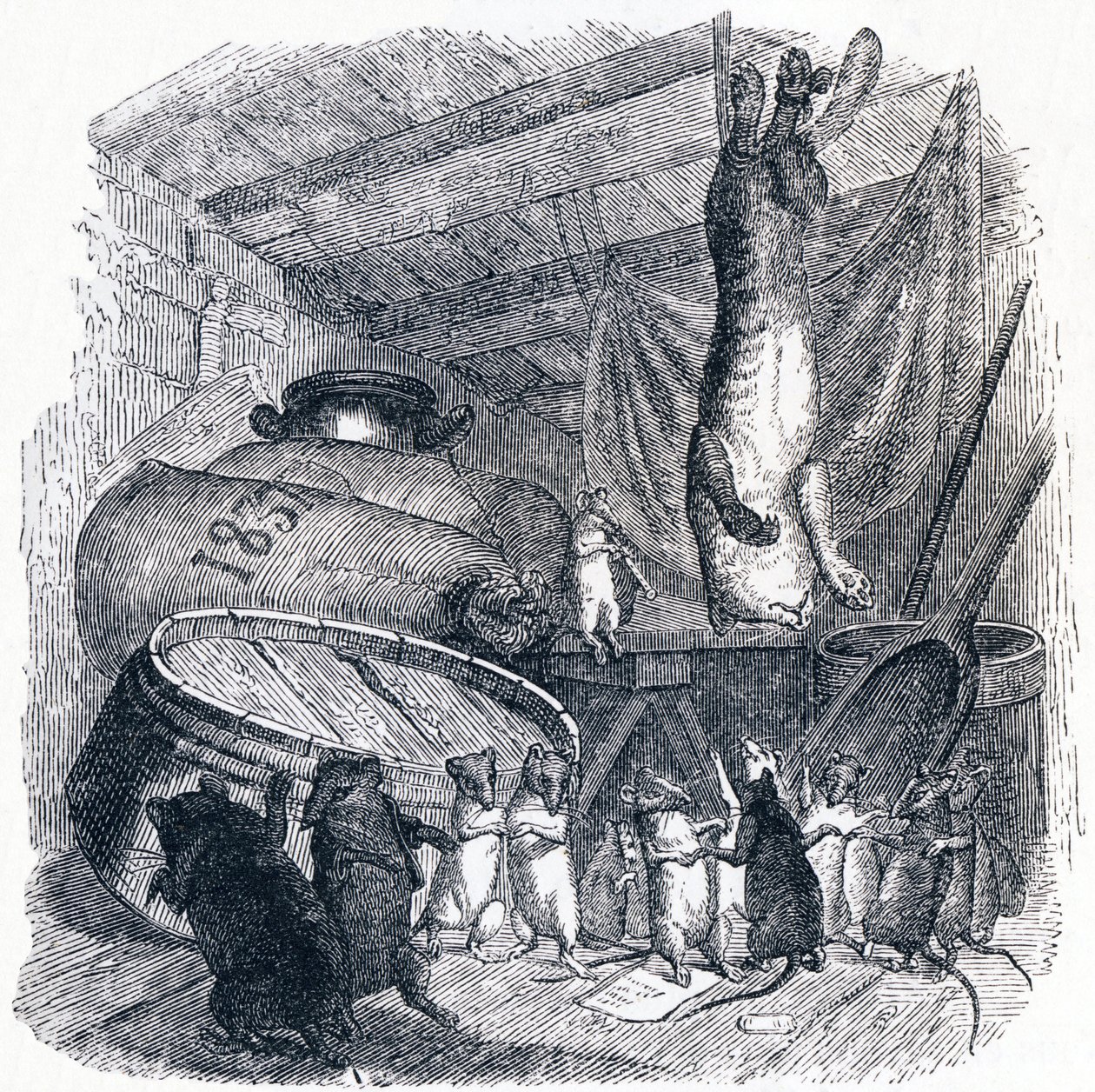 De kat en de oude rat - Fabels van La Fontaine door Grandville
