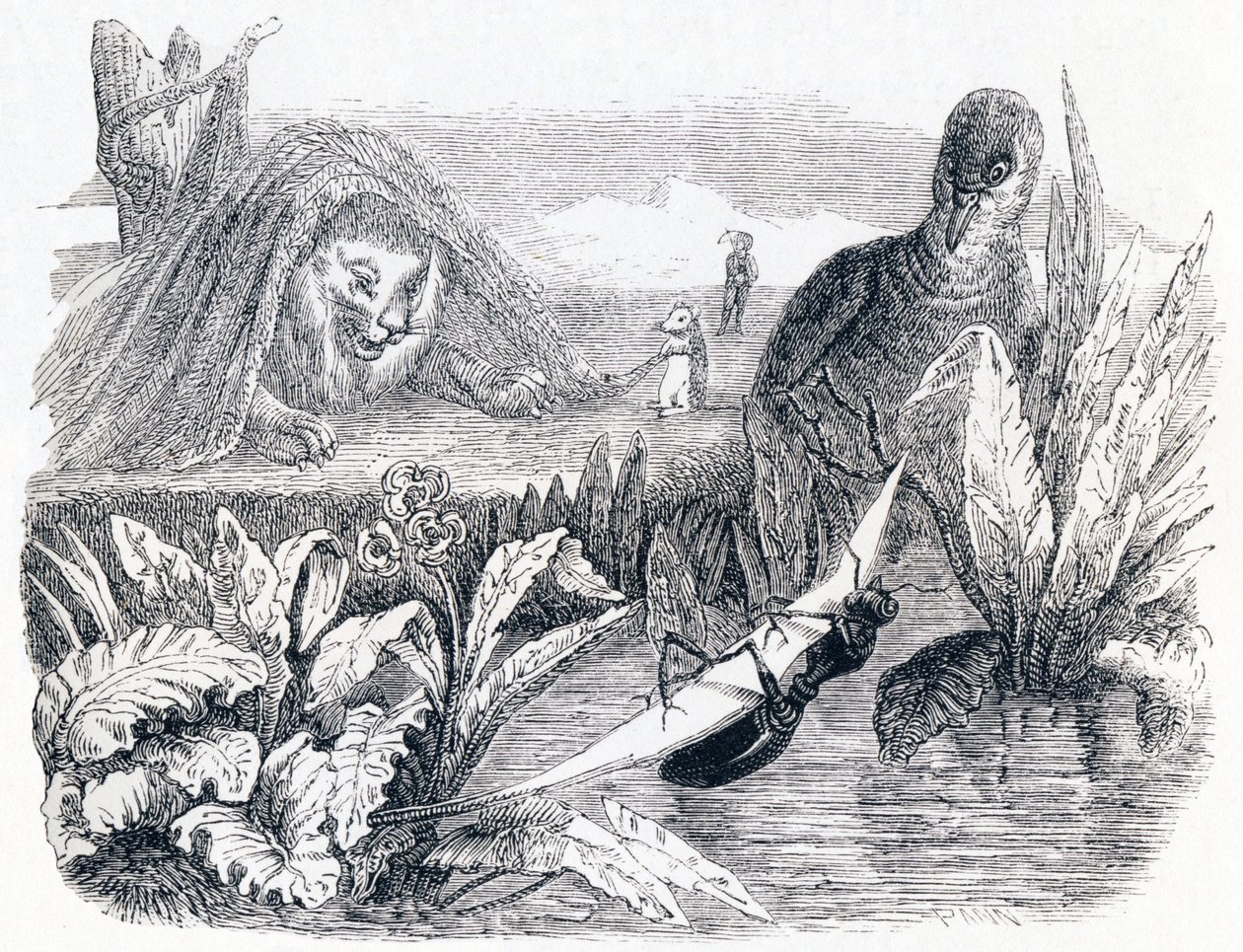 De duif en de mier - Fabels van La Fontaine door Grandville