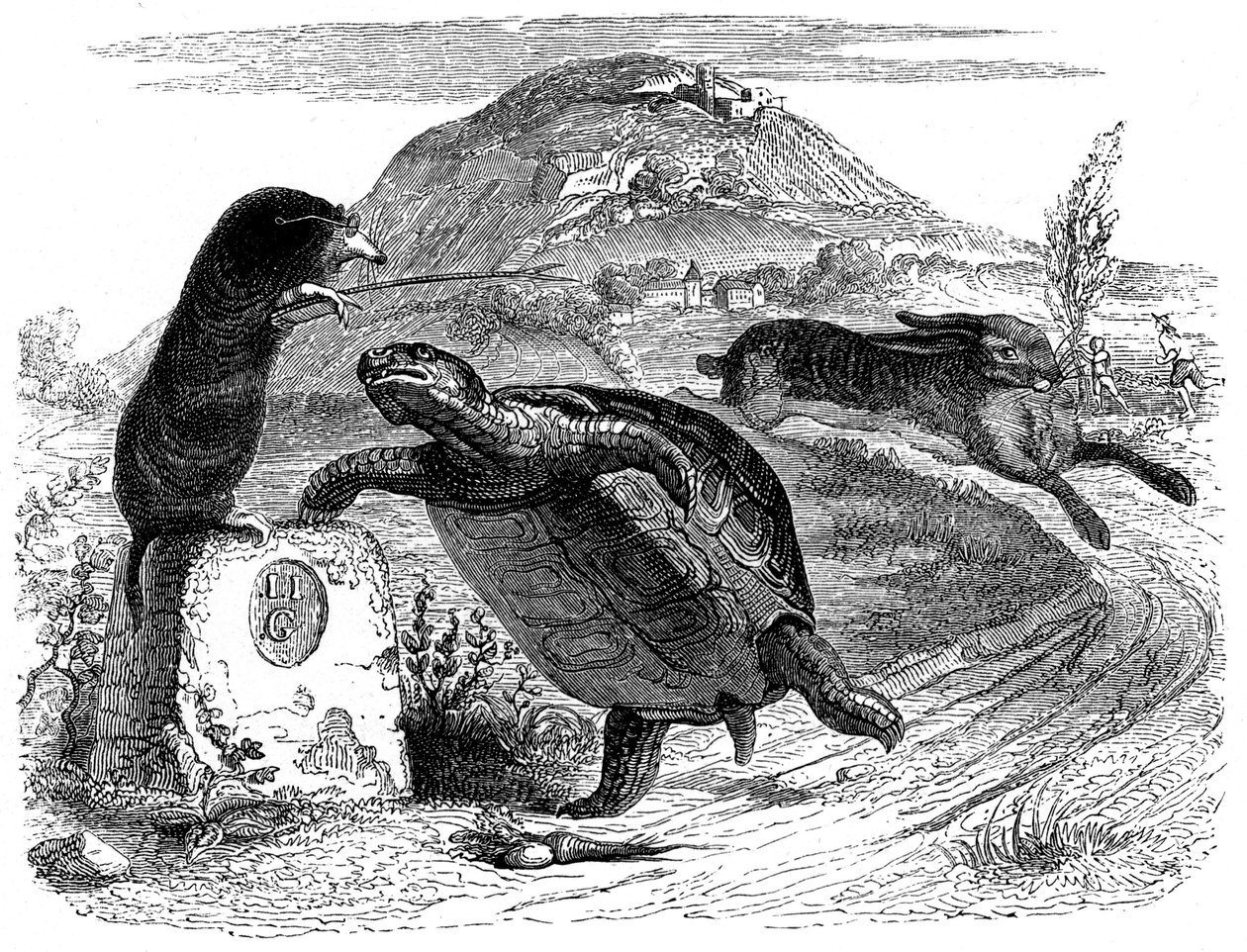 De haas en de schildpad: La Fontaine fabel geïllustreerd door Grandville door Grandville (1803-47)