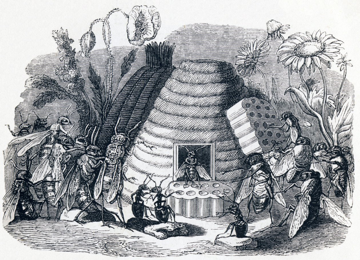 De horzels en de honingbijen - Fabels van La Fontaine door Grandville