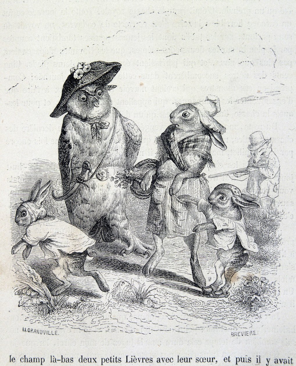 De twee kleine hazen, hun zus en de uil door Grandville