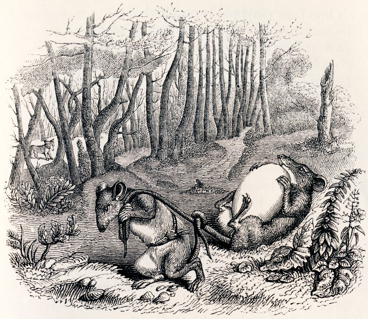 De twee ratten, de vos en het ei - Fabels van La Fontaine door Grandville