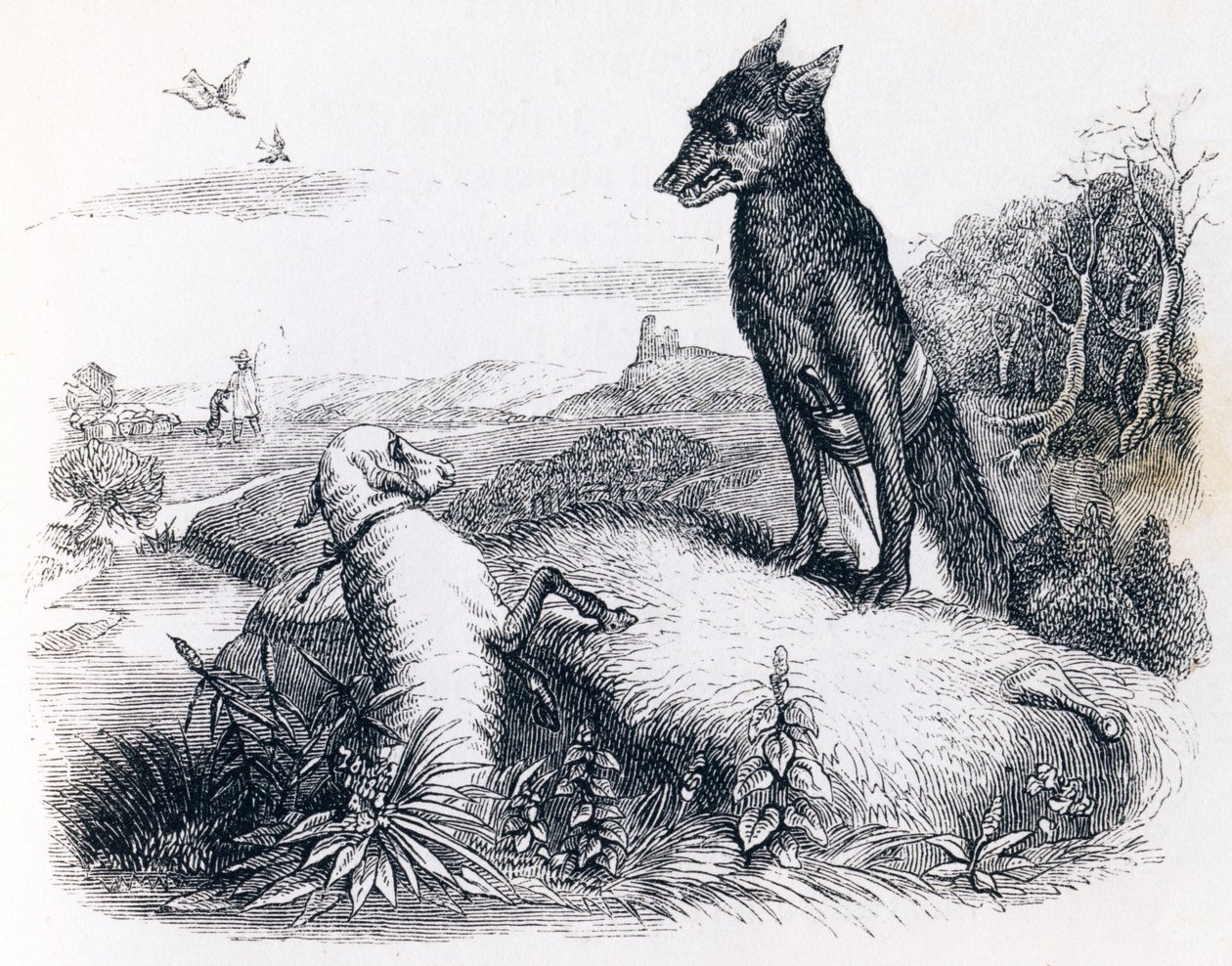 De wolf en het lam - Fabels van La Fontaine door Grandville