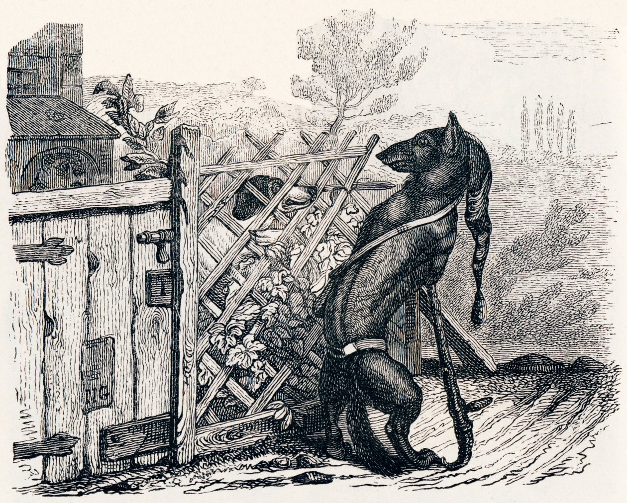 De wolf en de magere hond - Fabels van La Fontaine door Grandville