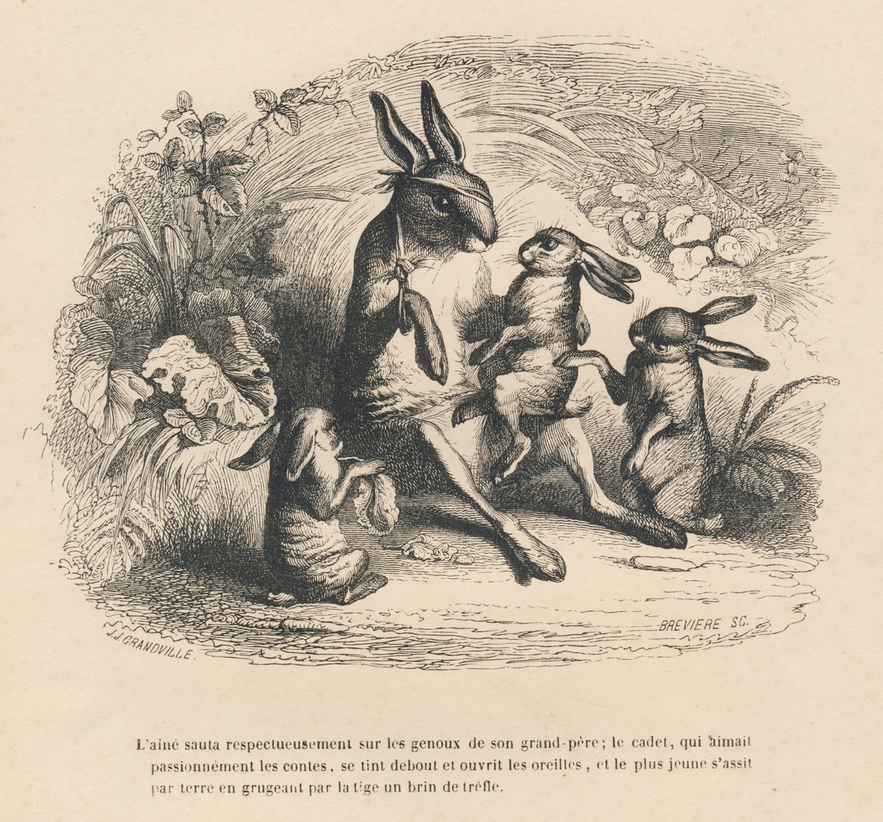Drie konijnen kinderen die luisteren naar hun gewonde grootvader die verhalen vertelt. Geïllustreerde vignetten door JJ Granville. Gravure gesigneerd door Breviere in het deel "Verhaal van een haas" geschreven door PJ Stahl in "Scènes uit het privé- en ope door Grandville