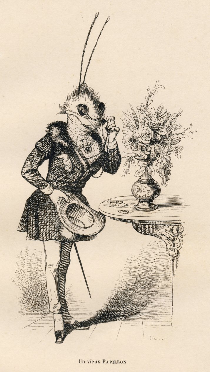 Een oude vlinder die de tijd bekijkt met zijn bril. Geïllustreerde vignetten door JJ Granville. Gravure gesigneerd door Breviere in het deel getiteld "De avonturen van een vlinder" geschreven door PJ Stahl in "Scènes uit het privé- en openbare leven van di door Grandville