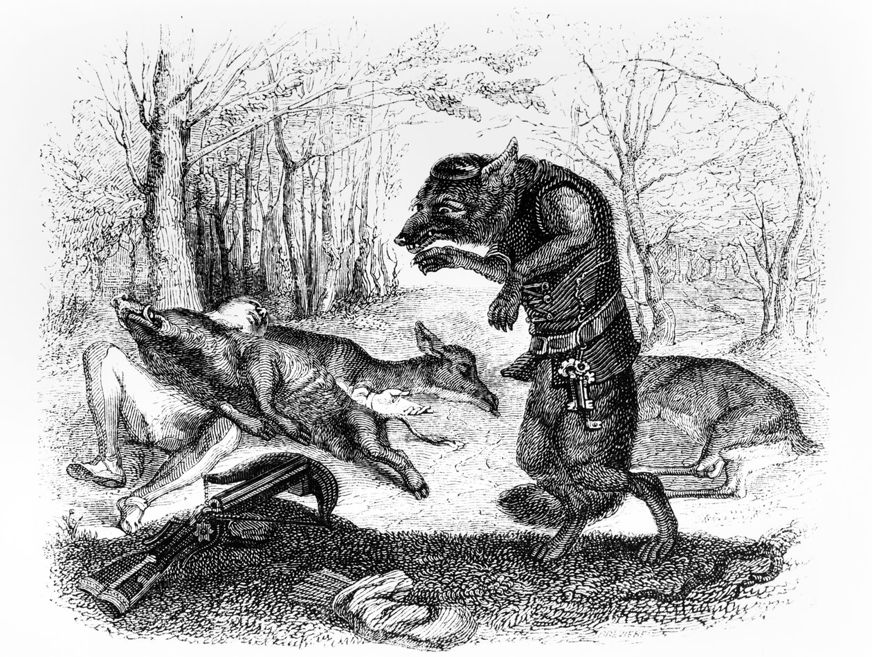 De Wolf en de Jager, illustratie voor 