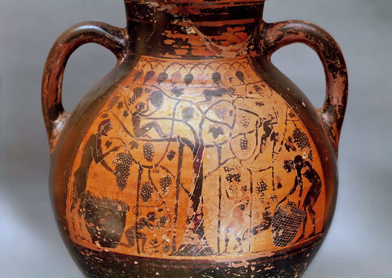 Rhodische stijl amphora die het plukken van druiven afbeeldt door Greek