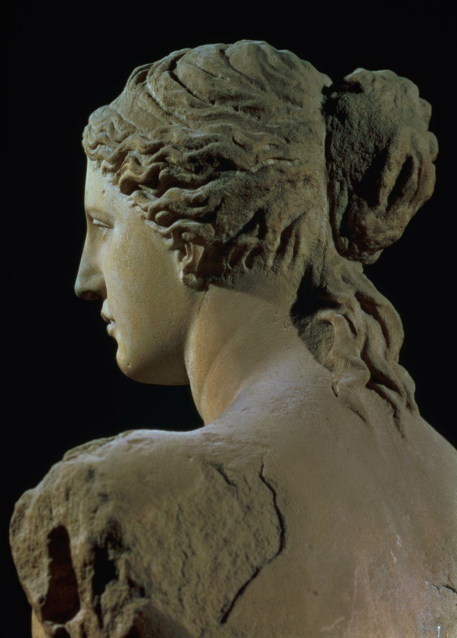 Venus van Milo, detail van de achterkant van het hoofd door Greek