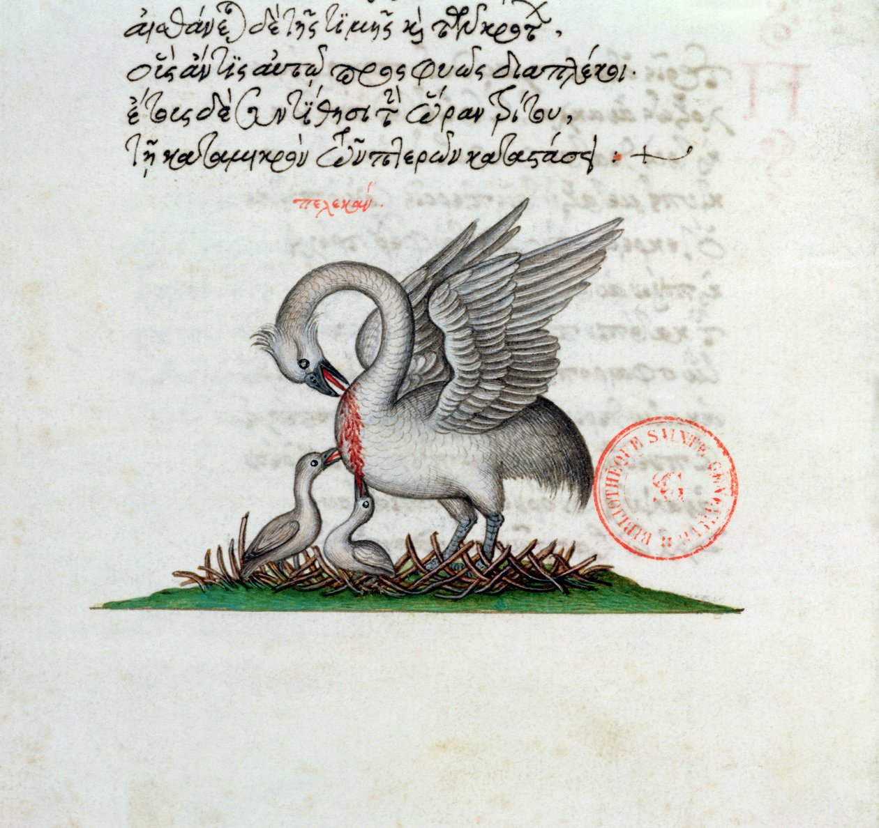 Een pelikaan die zijn borst doorboort om zijn jongen te voeden, uit een Bestiarium door Manuel Philes, 1566 door Greek School