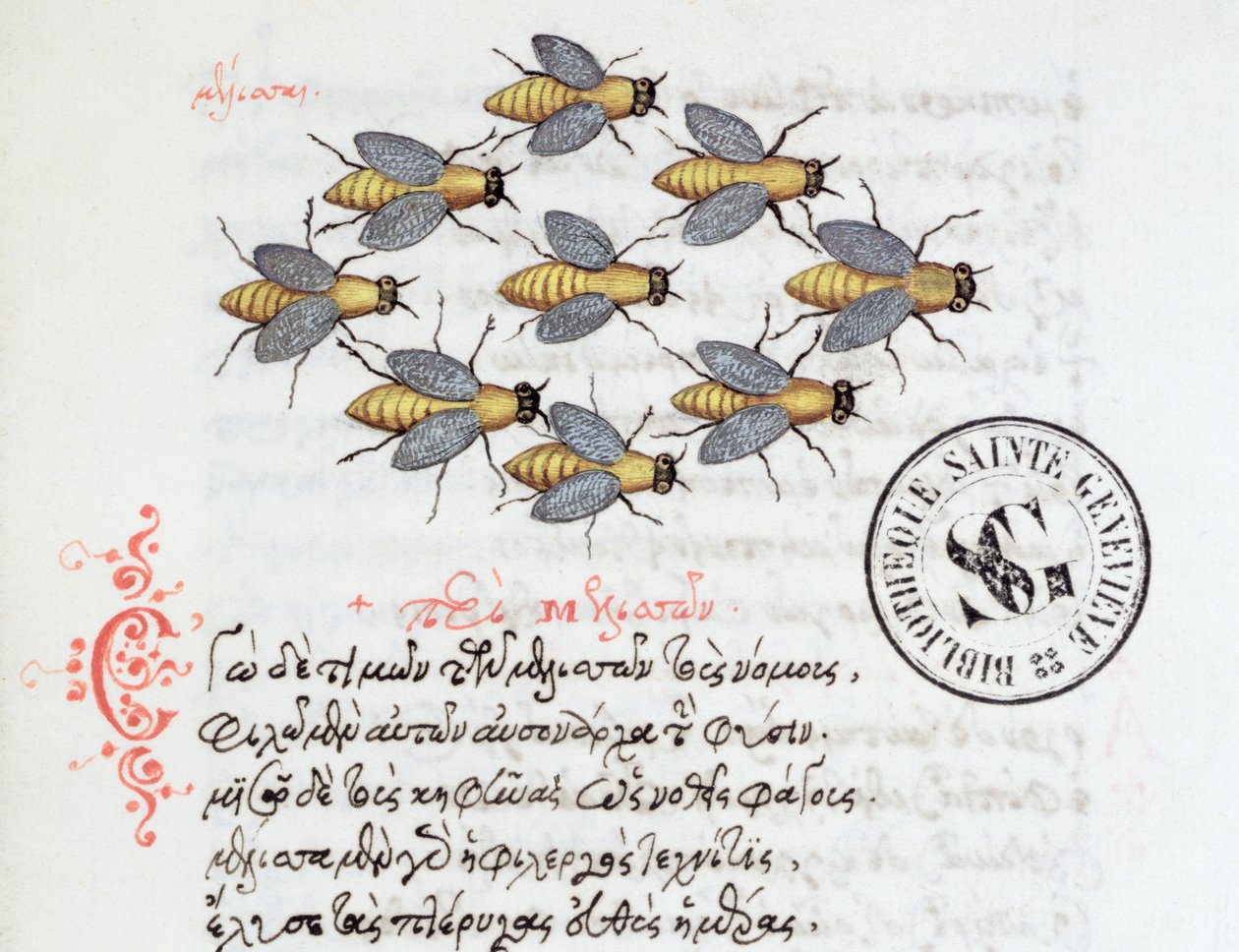 Bijen, uit een Bestiarium door Manuel Philes, 1566 door Greek School