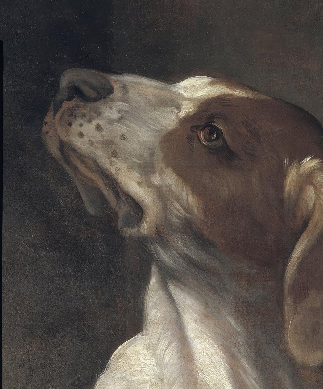 De heilige Rochus in de gevangenis, getroost door een engel door Guido Reni