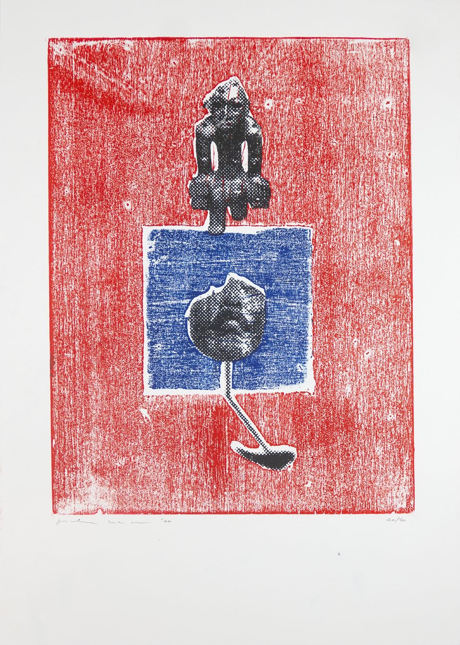 Onzichtbare kamer Nr.3, 2019 door Guilherme Pontes
