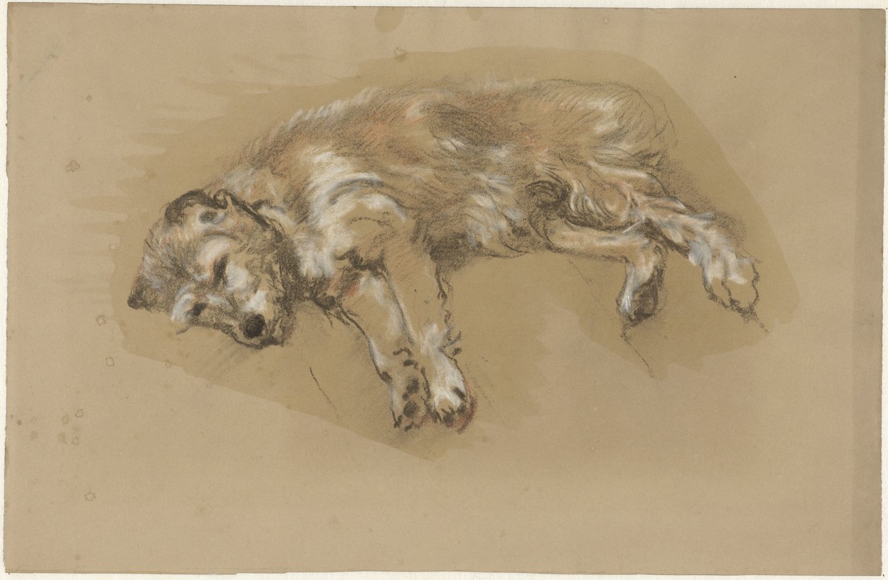 Liggende hond door Guillaume Anne van der Brugghen