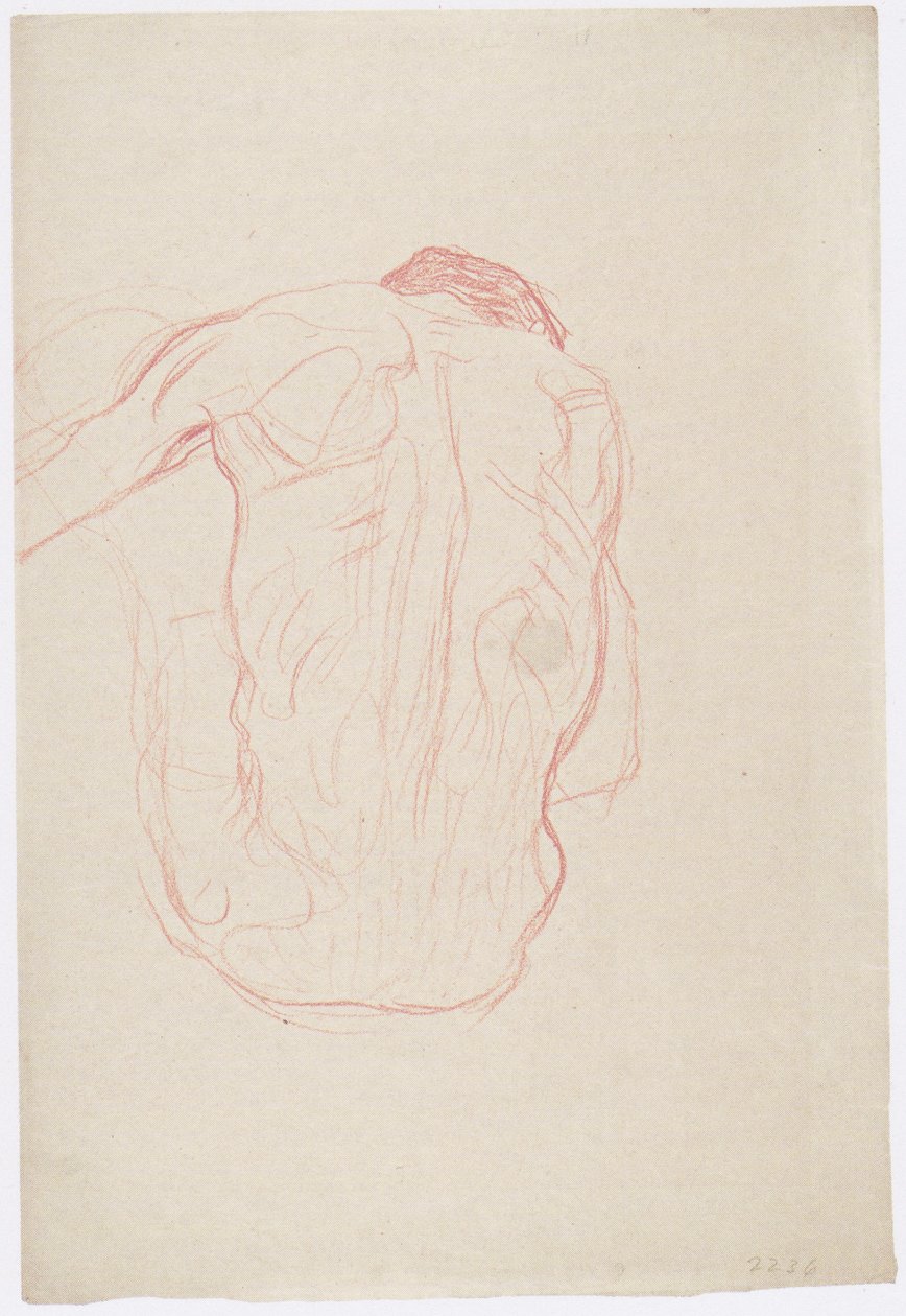 Zittende mannelijke rugnaakt door Gustav Klimt