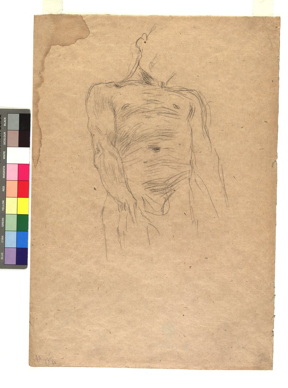 Männlicher Torso door Gustav Klimt