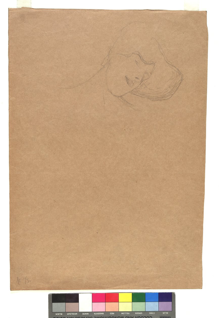 Studie eines weiblichen Kopfes door Gustav Klimt