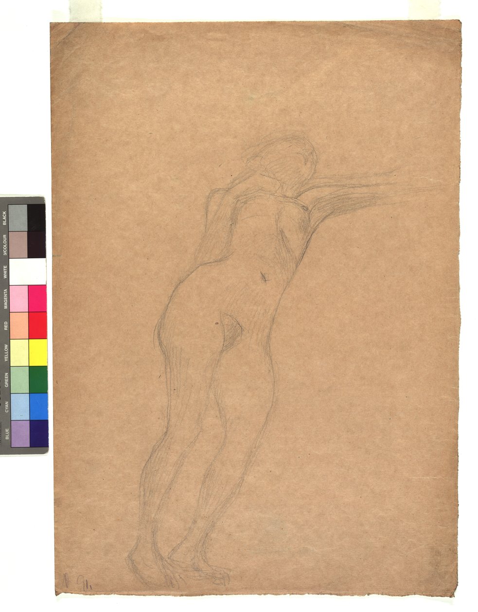Weiblicher Akt in Untersicht door Gustav Klimt