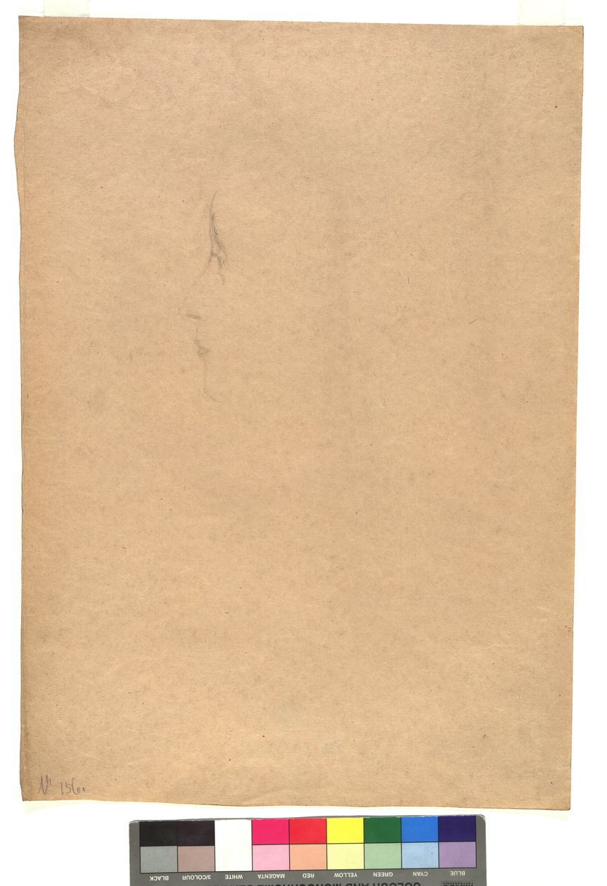 Weibliches Gesicht im Profil nach links door Gustav Klimt