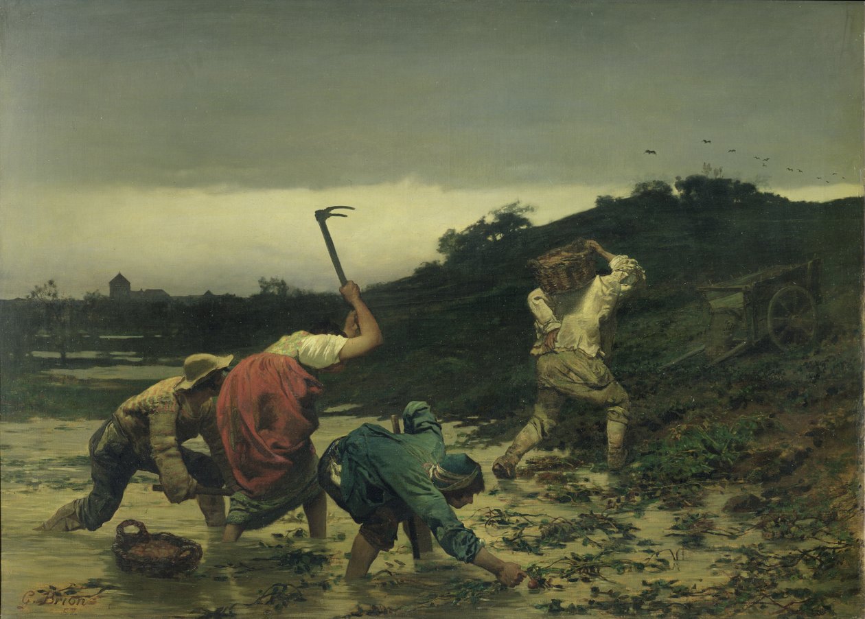 Boeren oogsten aardappelen tijdens de overstroming van de Rijn in 1852 door Gustave Brion