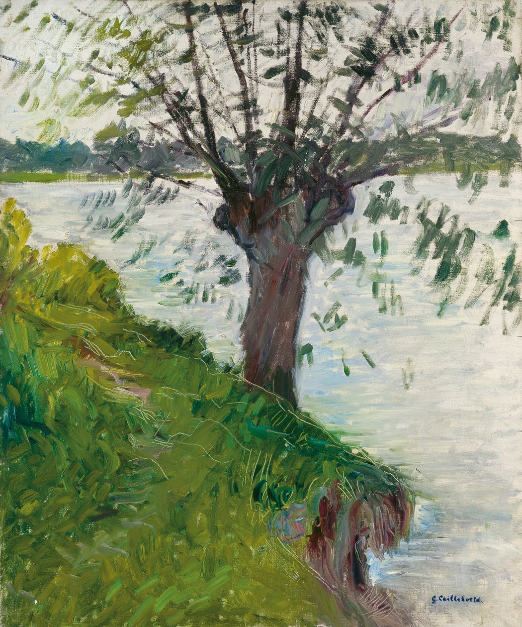 Wilg aan de rivier; Saule au bord de la rivière, c. 1891 door Gustave Caillebotte