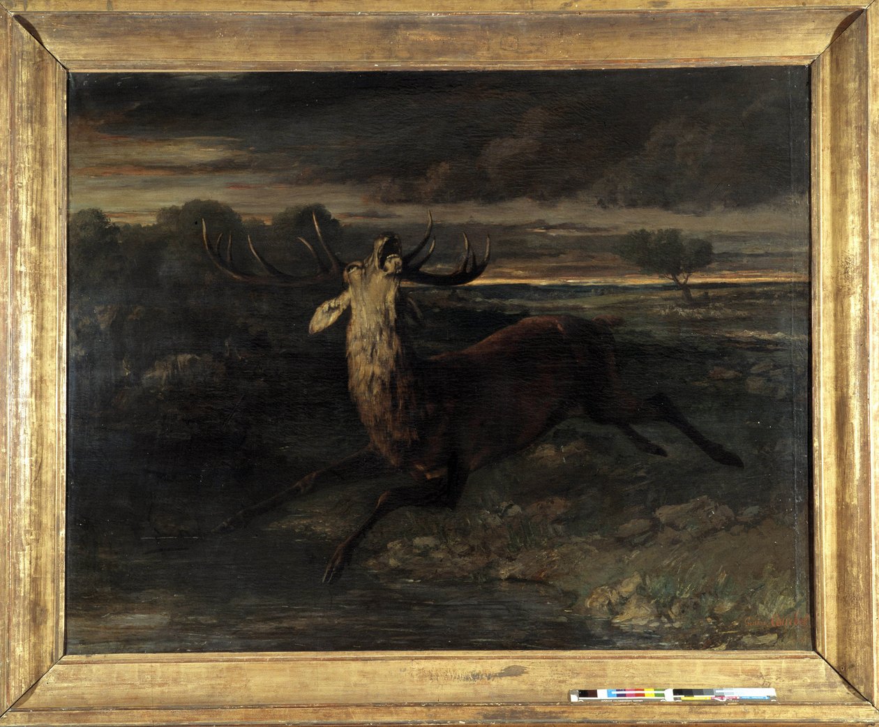 Het hert heeft water (jacht een run) zegt de hertenkracht door Gustave Courbet