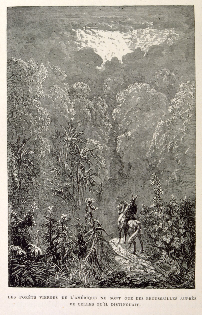 Illustratie van Amerikaans bos. uit La légende de Croque-Mitaine. door Gustave Dore