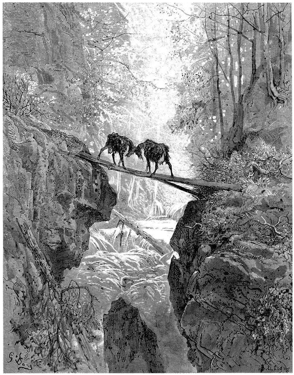 Les deux chèvres: fabel van Jean de la Fontaine geïllustreerd door Gustave Dore - bos, stroom, stroom - door Gustave Dore