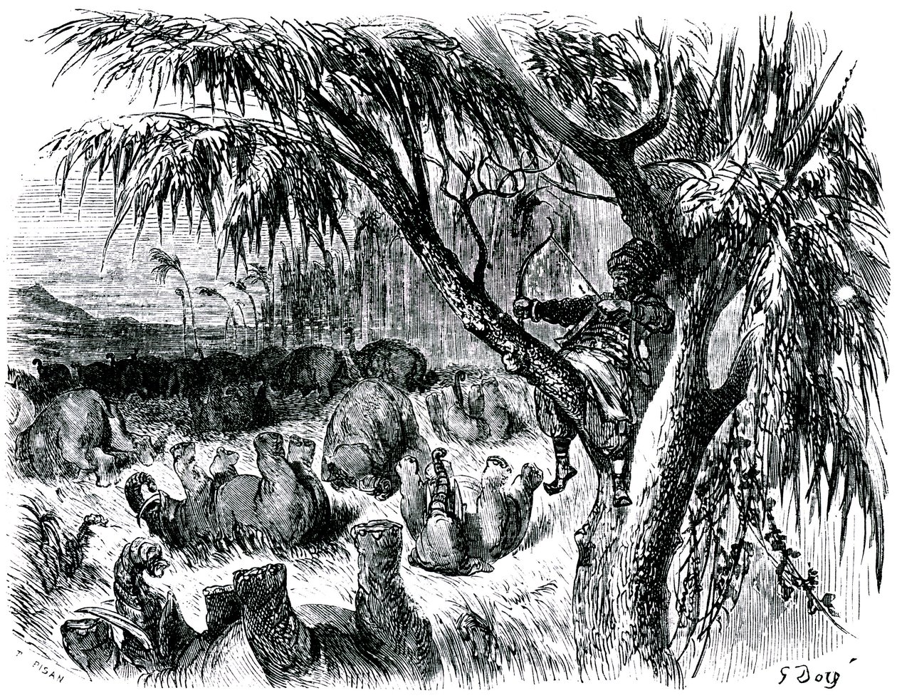 Sindbad de zeeman - verhaal van de duizend-en-een-nacht - illustratie door Gustave Doré - editie Maxwell 1865 - Zevende reis: Sindbad, zittend in een boom, schiet met zijn boog op olifanten door Gustave Dore