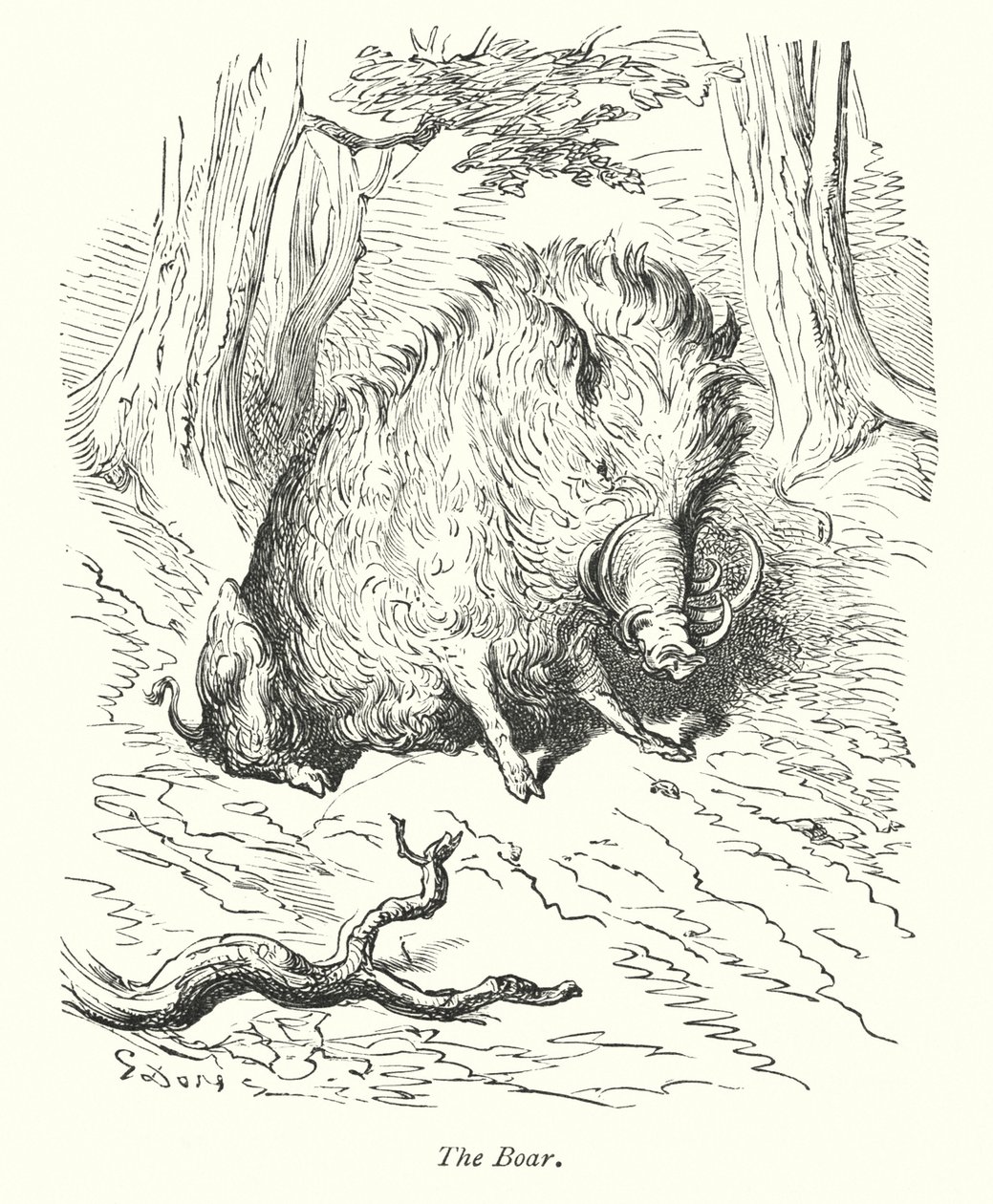 Het zwijn (gravure) door Gustave Dore