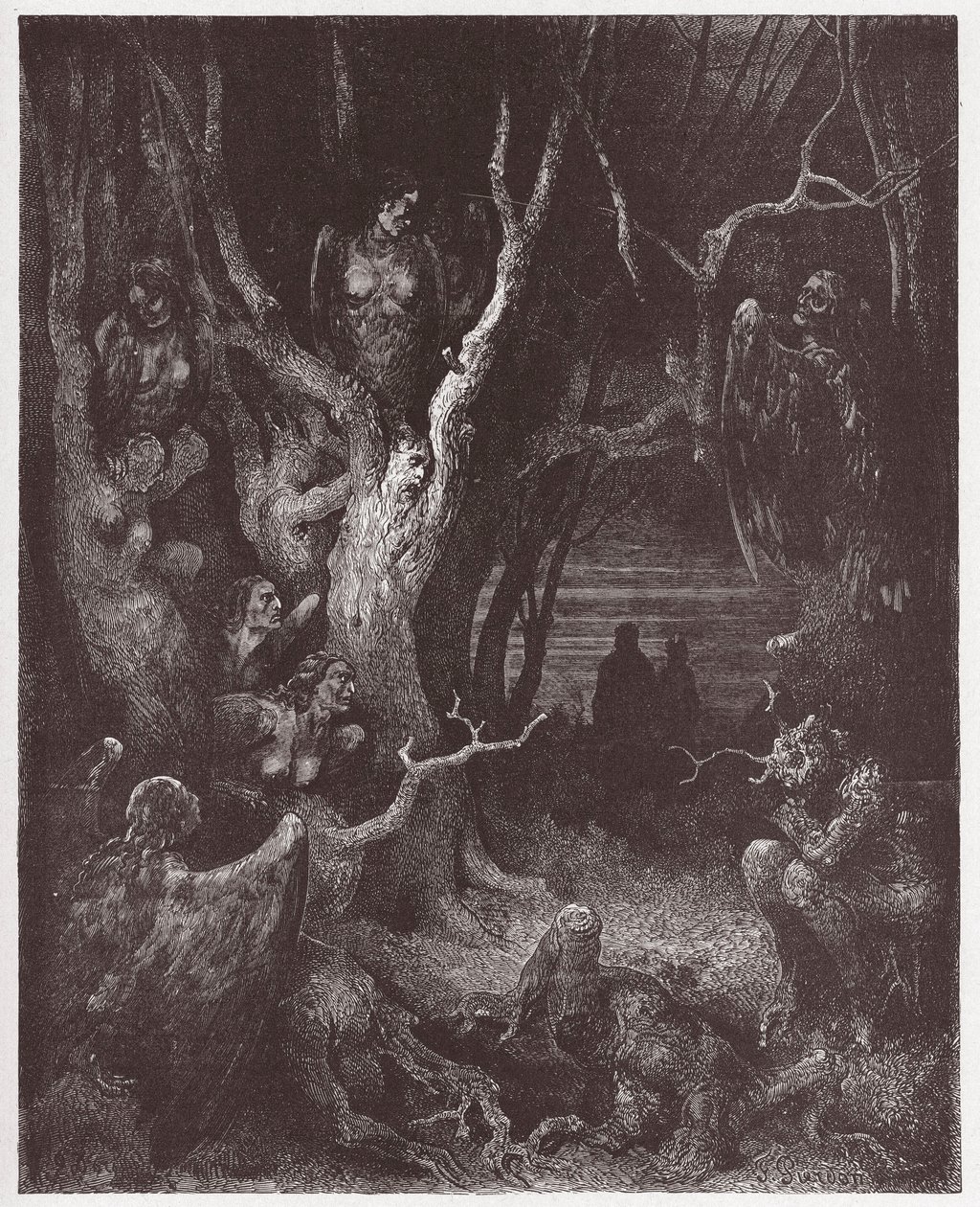 De Goddelijke Komedie, Inferno, Canto 13: De Harpijen in het bos van zelfmoordenaars - door Dante Alighieri (1265-1321) - Illustratie door Gustave Dore (1832-1883) door Gustave Dore