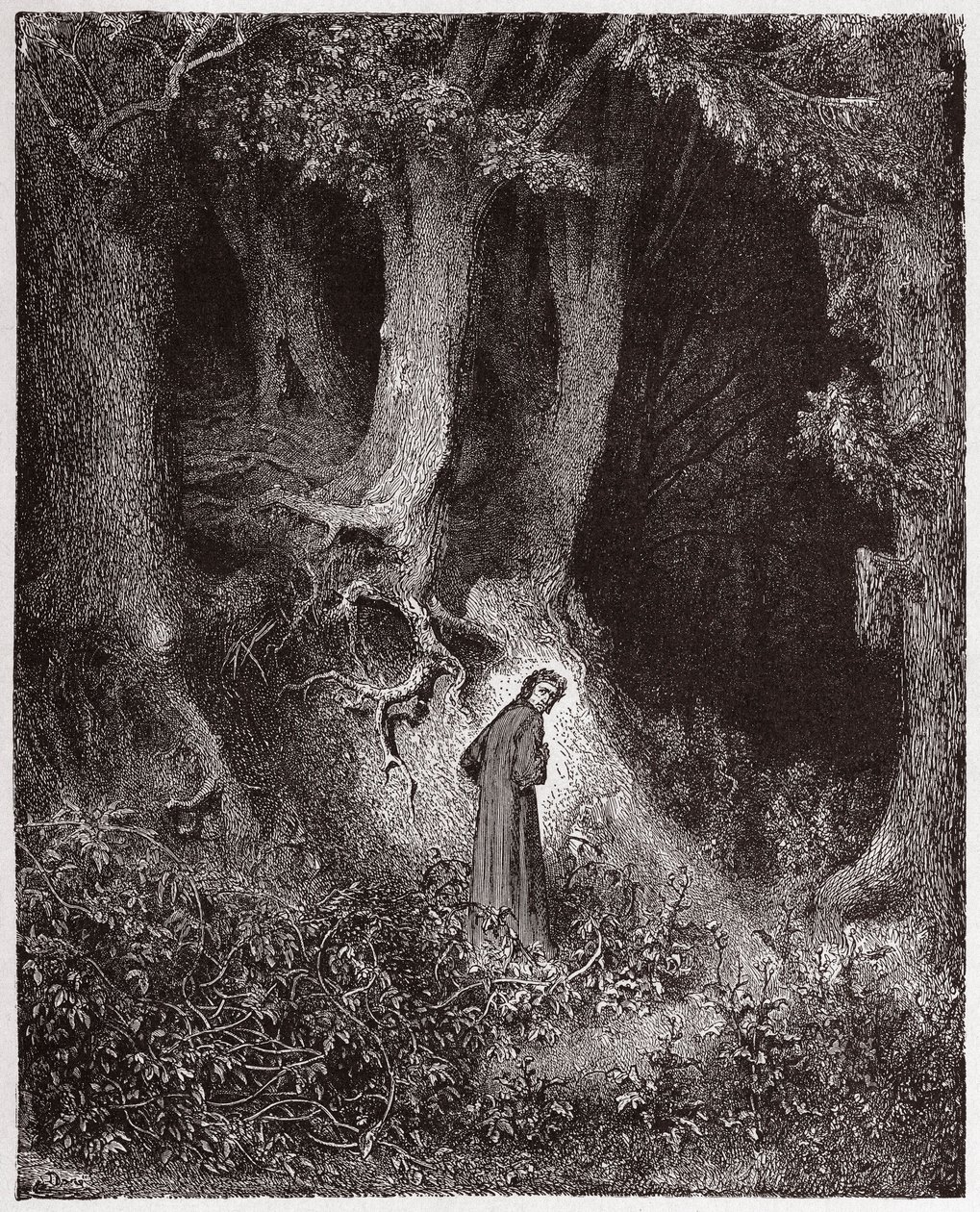 De Goddelijke Komedie (La Divina Commedia), Inferno, Canto 1: Dante in het wilde bos - door Dante Alighieri (1265-1321) - Illustratie door Gustave Doré (1832-1883) door Gustave Dore