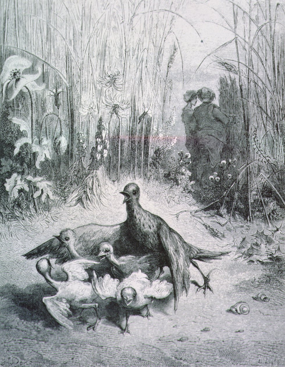 De fabel van de leeuwerik, haar jongen en de meester van het veld, illustratie voor de Fabels van La Fontaine door Gustave Dore