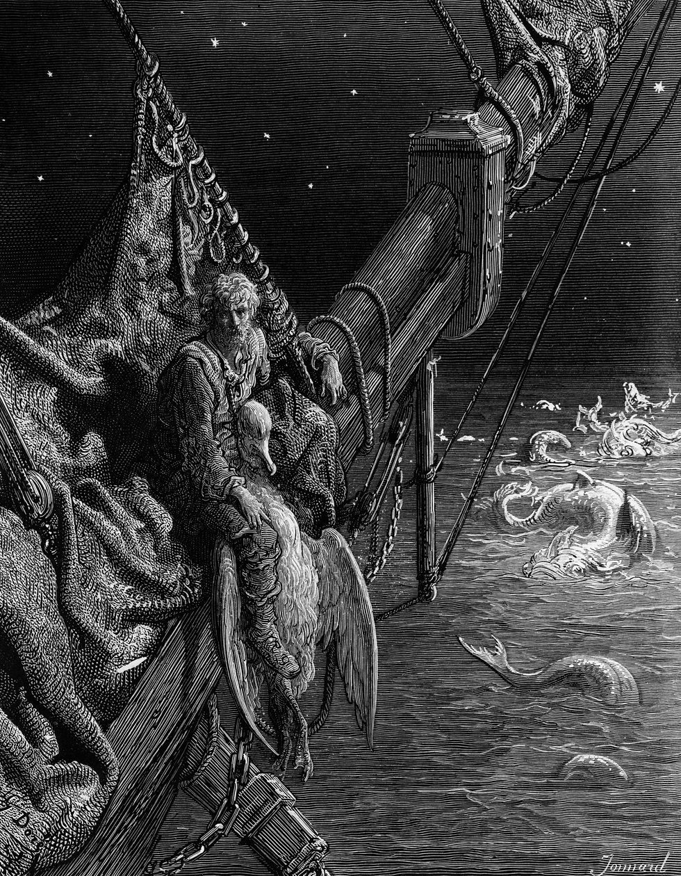 De zeeman kijkt naar de slangen in de oceaan, scène uit 