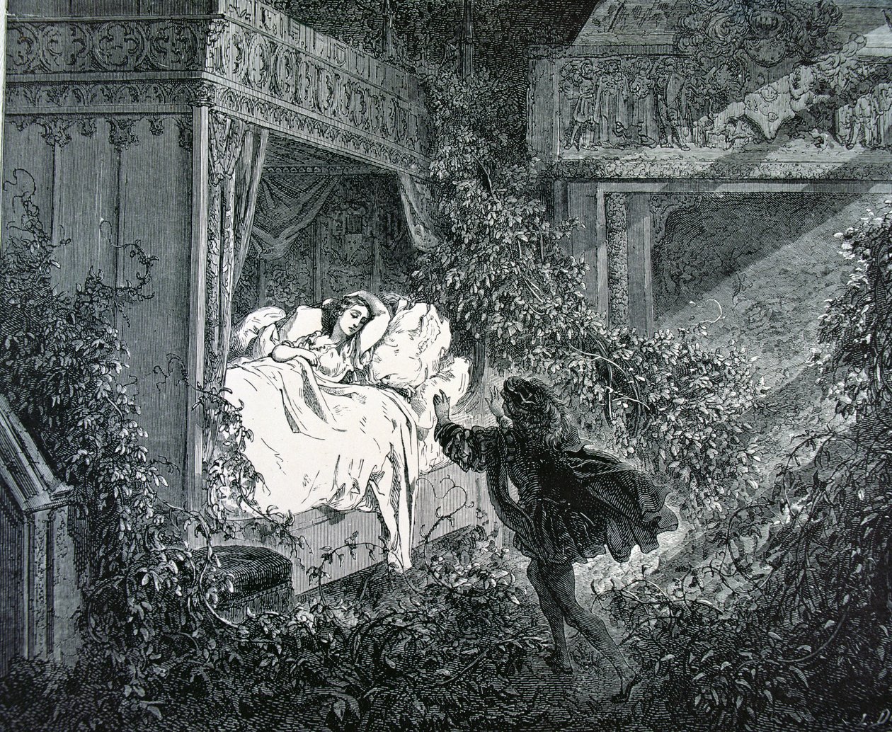 De Prins komt de slaapkamer van de Prinses binnen in het betoverde kasteel, illustratie voor 