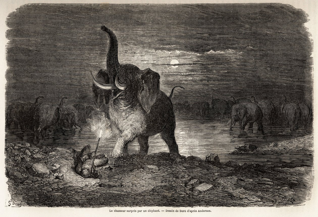 De jager verrast door een olifant, nabij het Ngami-meer (Botswana), tekening door Gustave Doré (1832-1883), ter illustratie van de avonturen en jachten van Charles Jean Anderson in Zuidelijk Afrika. Gravure in 
