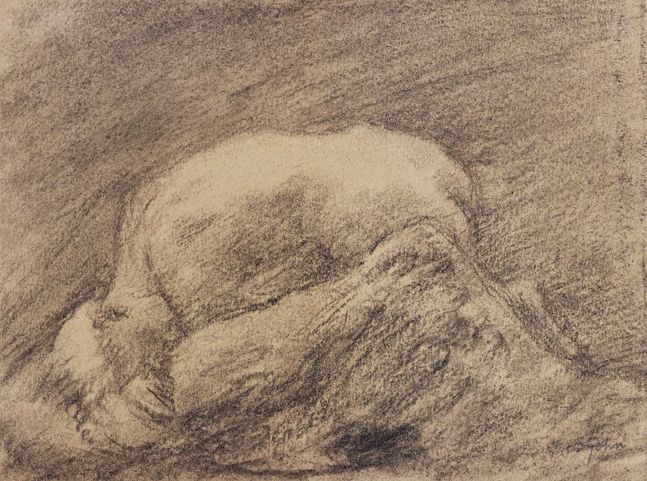 Een Studie van Rodin