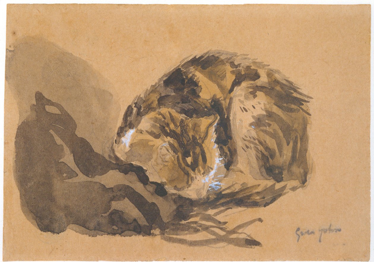 Studie van een Kat, 1905-08 door Gwen John