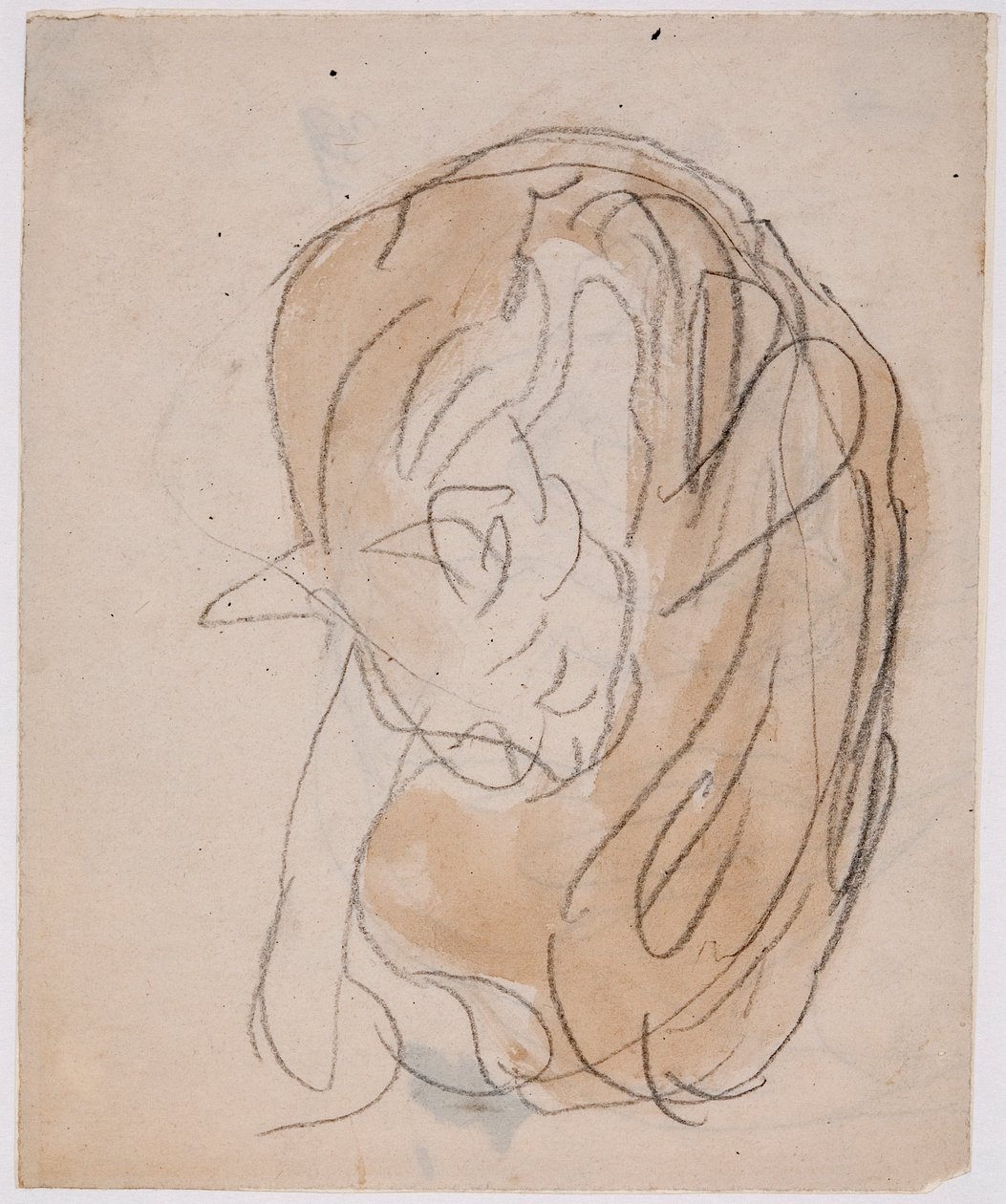 Kattenstudies door Gwen John