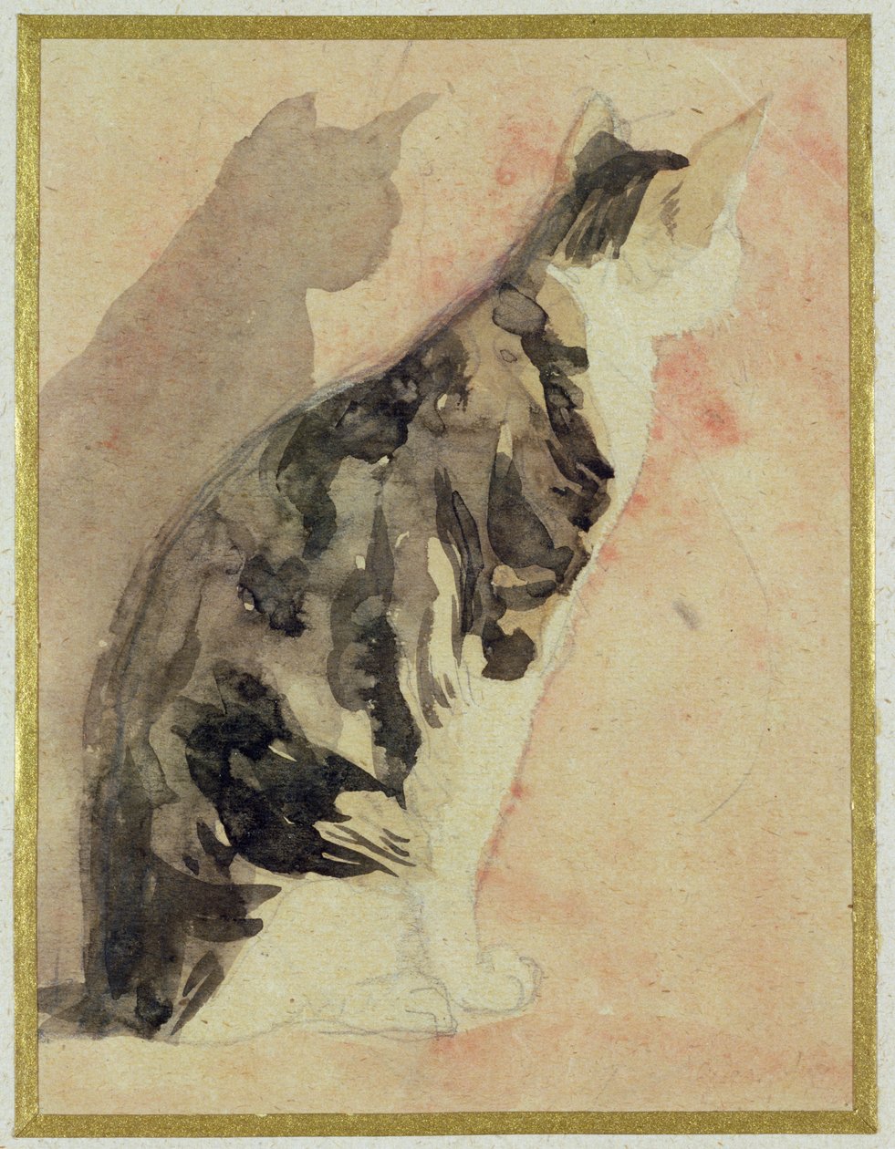 Studie van een kat door Gwen John