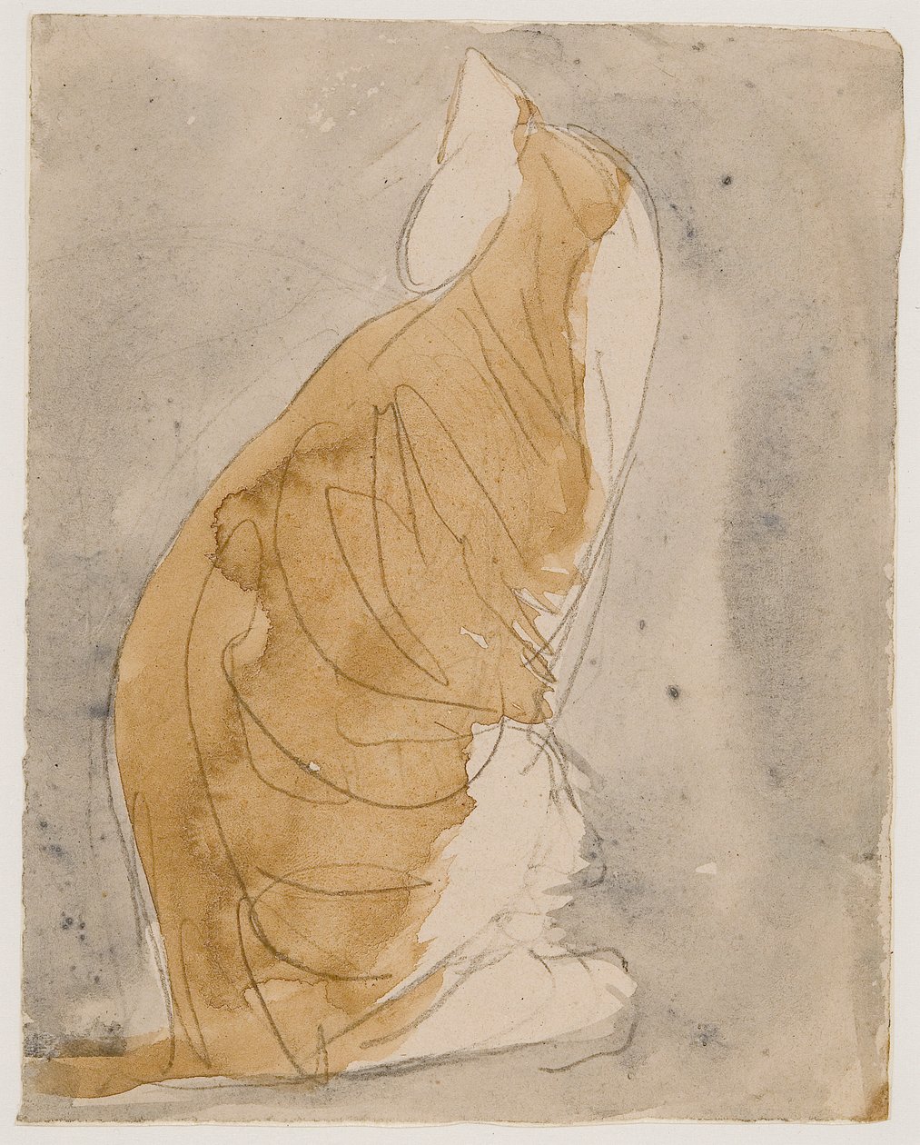 Studie van een kat door Gwen John