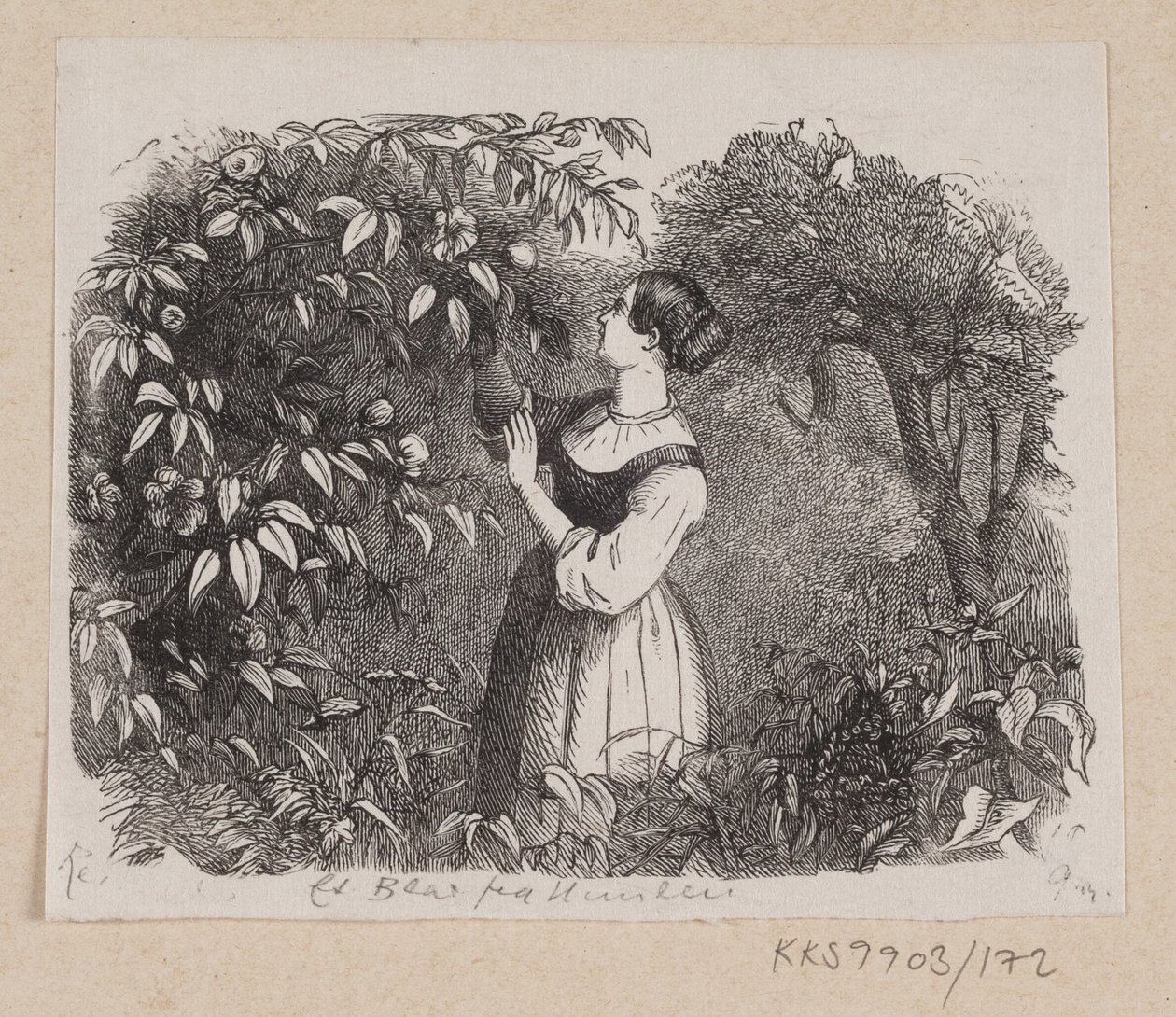 Illustratie voor "Een Blad uit de Hemel" in H.C. Andersen, "Sprookjes en Verhalen", Deel 2 door H.P. Hansen