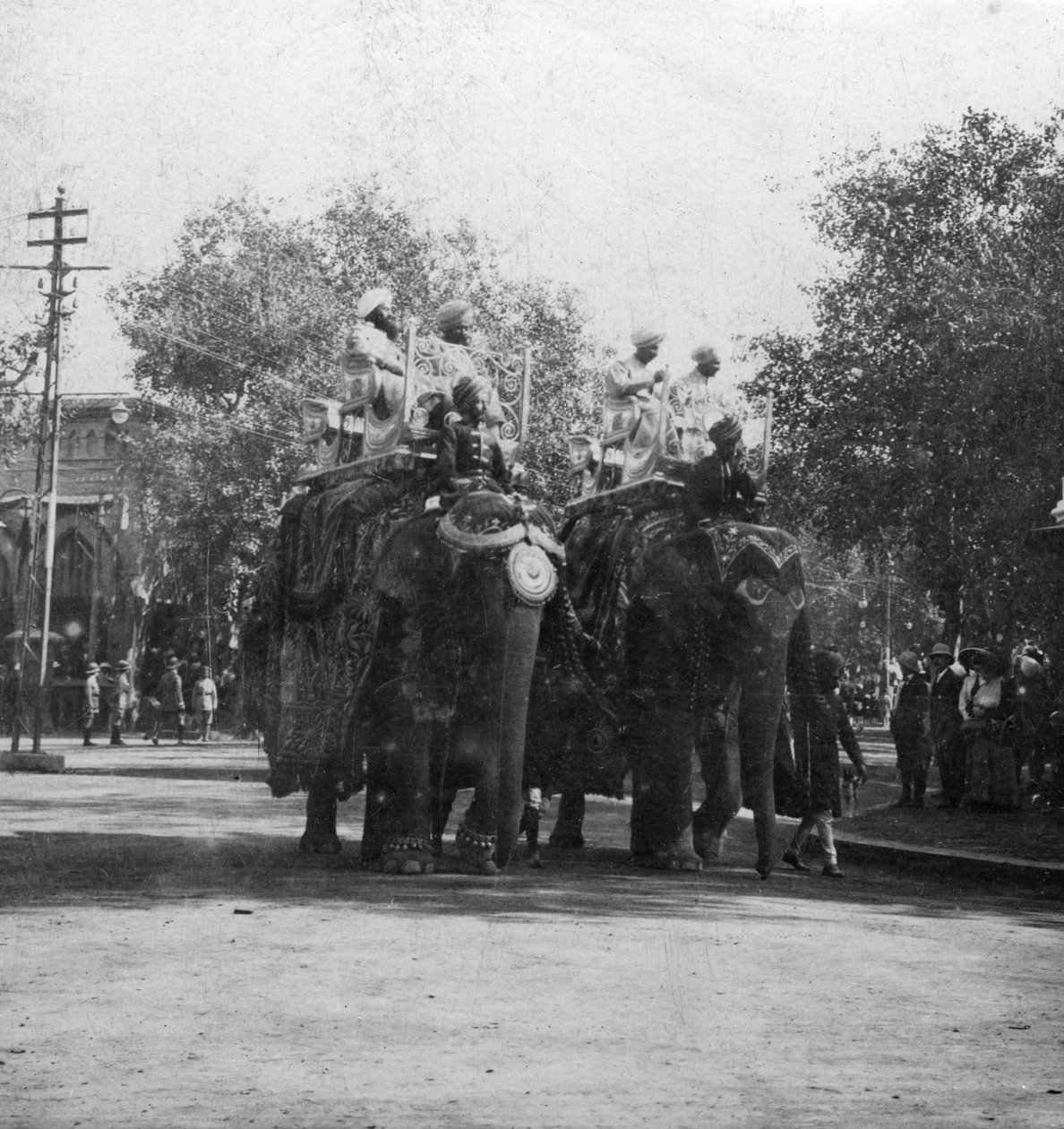 Een Punjabi prinses op een olifant in een processie, Delhi, India door H. Hands and Son