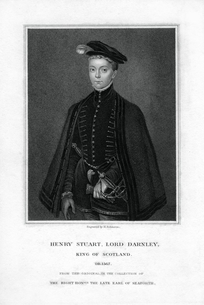Henry Stuart, Lord Darnley, tweede echtgenoot van Mary, Queen of Scots, 19e eeuw door H. Robinson